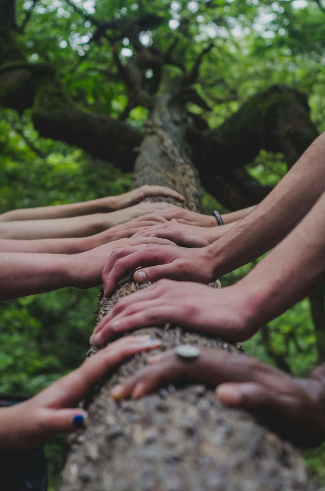Hands resting together on a tree during a gathering